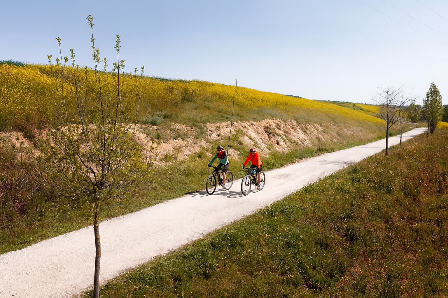 Ilustracja zespołu stojącego przy rowerach